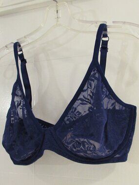 Love by GAP Pretty Blue Bare Natural Plunge Lace Bra 36DD
